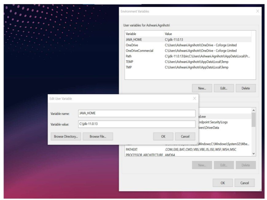 AEM 6.5 On-Prem Setup Guide